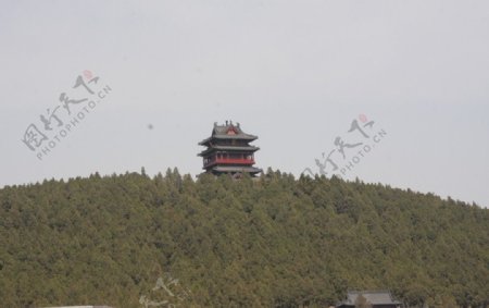 徐州竹林寺图片
