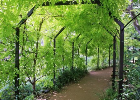 园林艺术日本公园风景图片