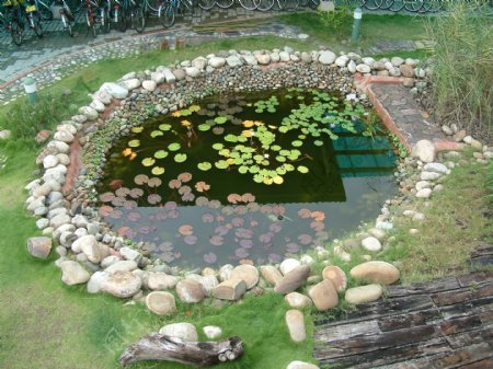 生态池图片