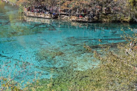 九寨沟风光图片