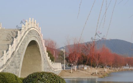 徐州小南湖美景图片