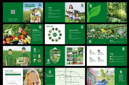 绿色农场宣传册设计图片