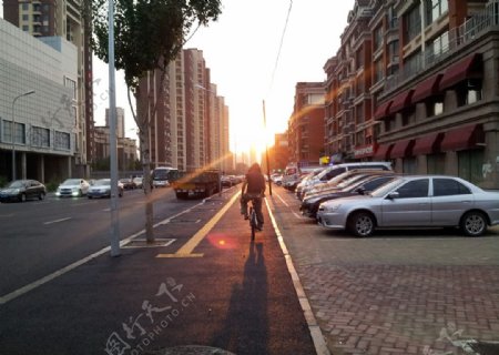 金色夕阳下的骑车人图片
