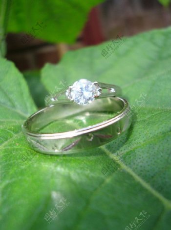 瓜藤订婚戒指图片