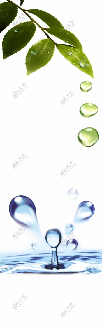 绿叶水滴图片
