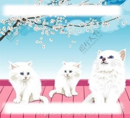写实的白色猫咪矢量素材图片