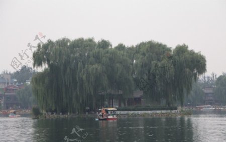 后海湖景图片