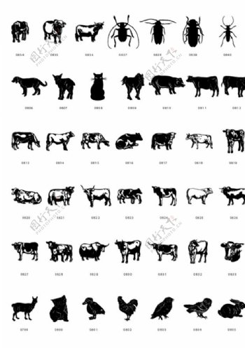 黑白动物矢量简体画图图片