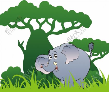 大象树图片