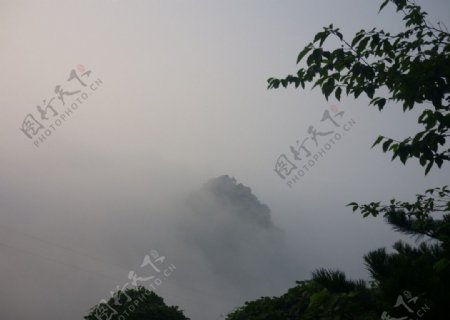 碣石山之雾图片