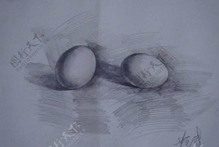 静物素描鸡蛋图片
