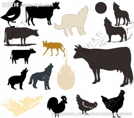 动物世界图片
