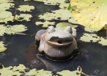 石雕青蛙图片