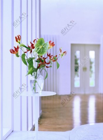 窗前花瓶鲜花图片