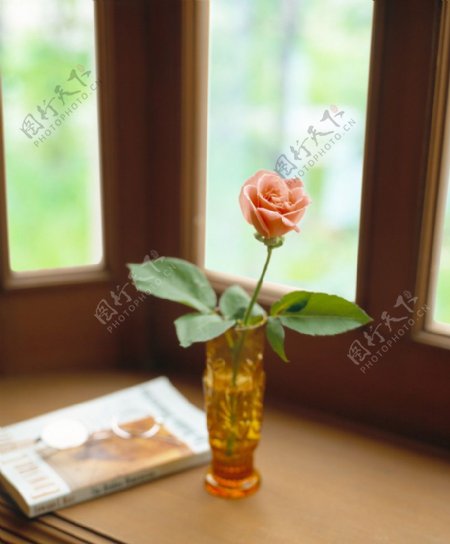 窗前书桌上的花瓶玫瑰书刊图片