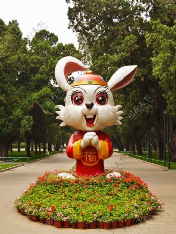 中山公园兔子图片