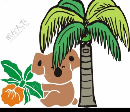 椰子树下的考拉图片