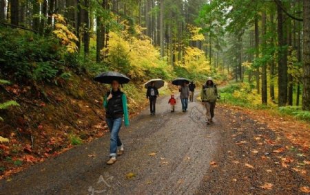人郊游游客男女树林山落叶雨伞缤纷秋天暖调愉快图片