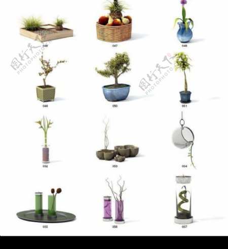 Vray高精度植物模型archmodel系列5图片