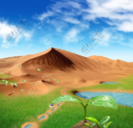 沙漠绿州图片