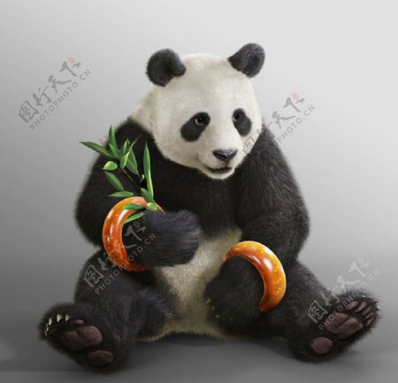 大熊猫动漫图片