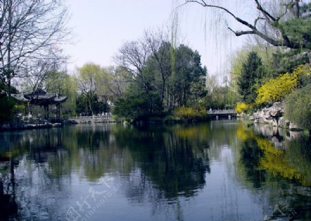 趵突泉公园枫溪图片