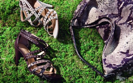 草地上的女式凉鞋图片