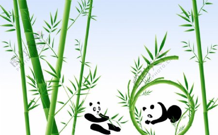 竹子与熊猫图片