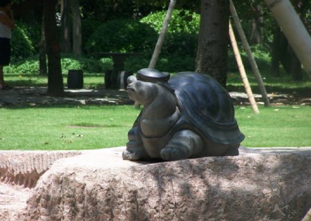 乌龟石雕塑图片