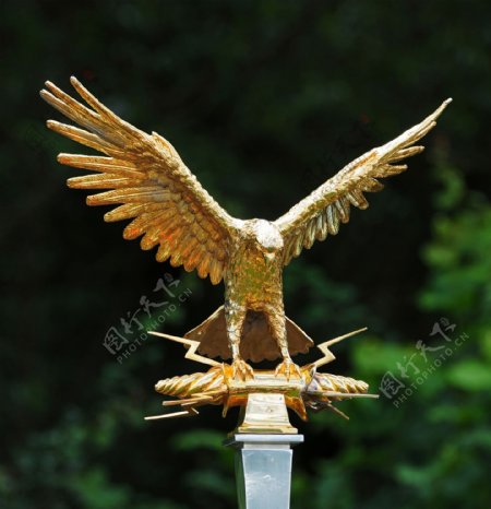 金鹰雕像图片