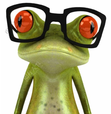 戴着眼镜的青蛙图片