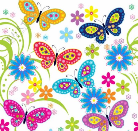 各种彩色蝴蝶图片
