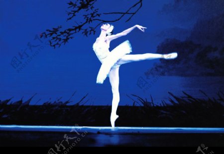 芭蕾舞天鹅湖1图片
