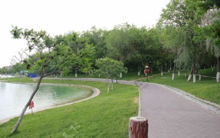 公园景色图片