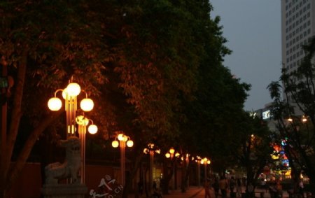夜色街灯图片