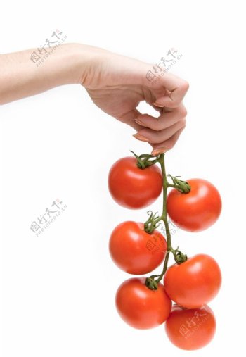 拿着西红柿的手图片