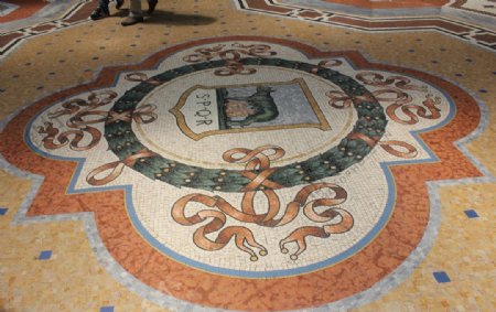 伊曼妞尔二世拱廊马赛克地面图片