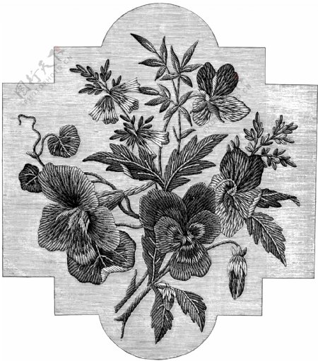 黑白花边植物纹样线条图片