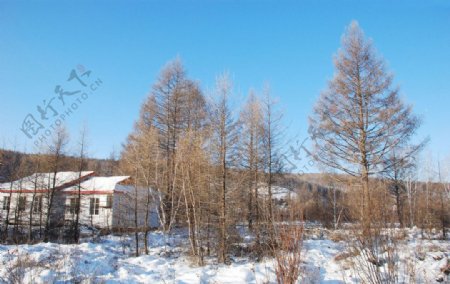 木屋度假村冬天风景图片