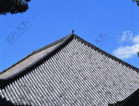 彩钢瓦屋顶图片