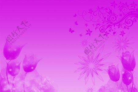 紫色背景封面设计图片