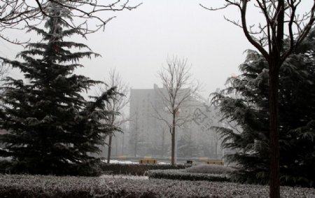 雪雾笼罩校园图片