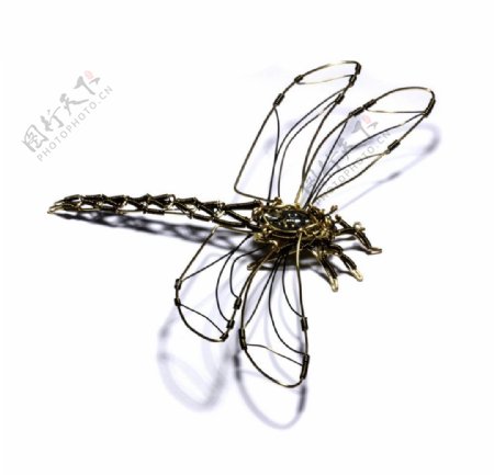 雕塑蜻蜓图片