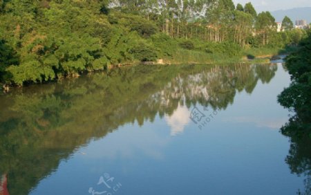 龙津河畔图片