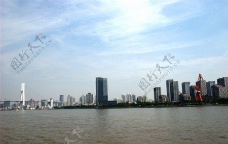 黄浦江上的卢浦大桥图片