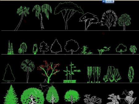 园林立面植物图例图片