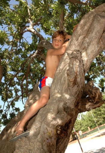 在树干上的男孩图片