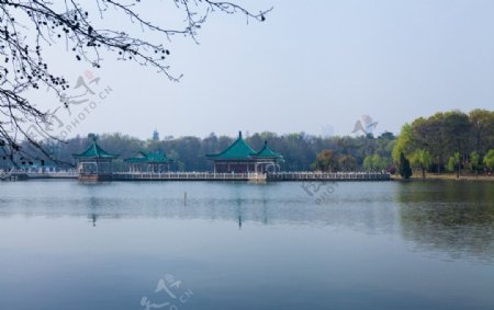 东湖风景区图片