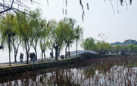 东湖风景区图片
