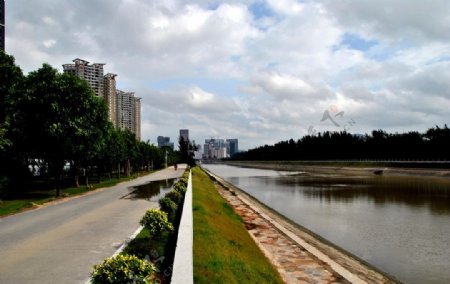 深圳湾公园图片